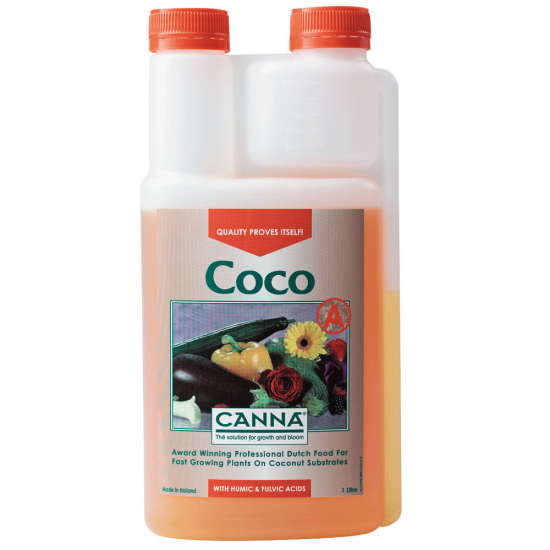 Coco A Canna