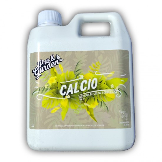 P&G-Calcio