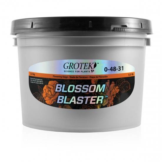 Blossom Blaster Grotek