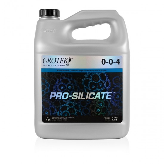Pro Silicate Grotek