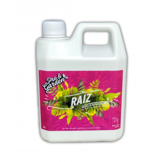 P&G-Raiz