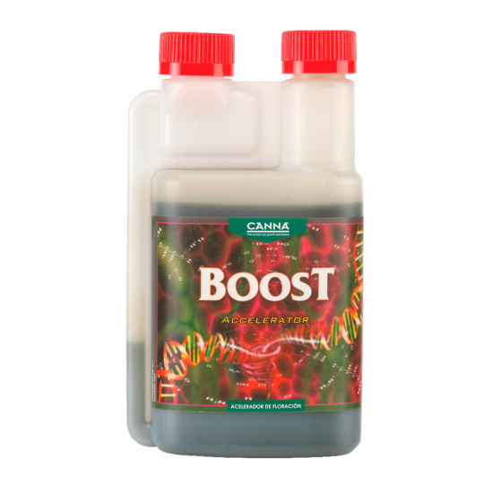 Boost Accelerator Canna