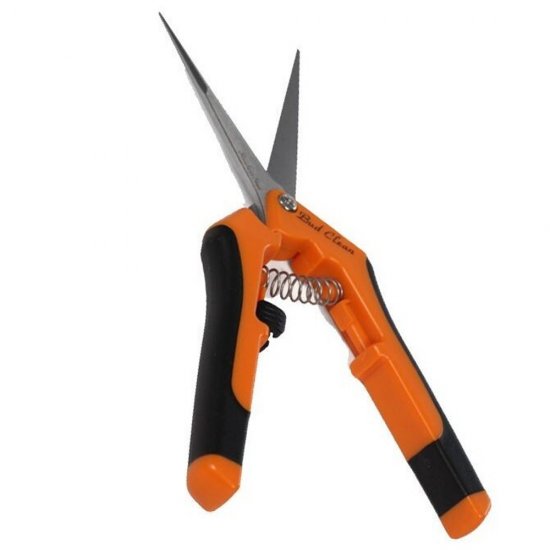Tijeras Bud Clean Long Blade