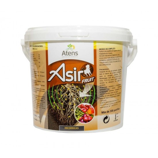 Mycorrizas Asir Fruit Atens